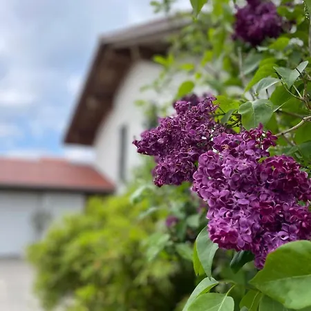1 Privat-schlafzimmer, Eigenes Bad Im Architektenhaus 2 Min A8 Ruhig, Terrasse - Modern