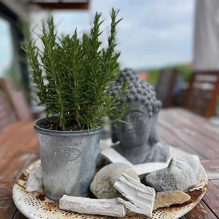 1 Privat-schlafzimmer, Eigenes Bad Im Architektenhaus 2 Min A8 Ruhig, Terrasse - Modern